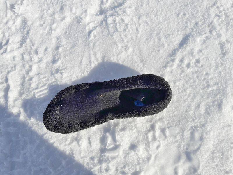Skinners auf Schnee