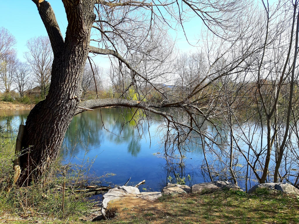 See im Dietenbachpark