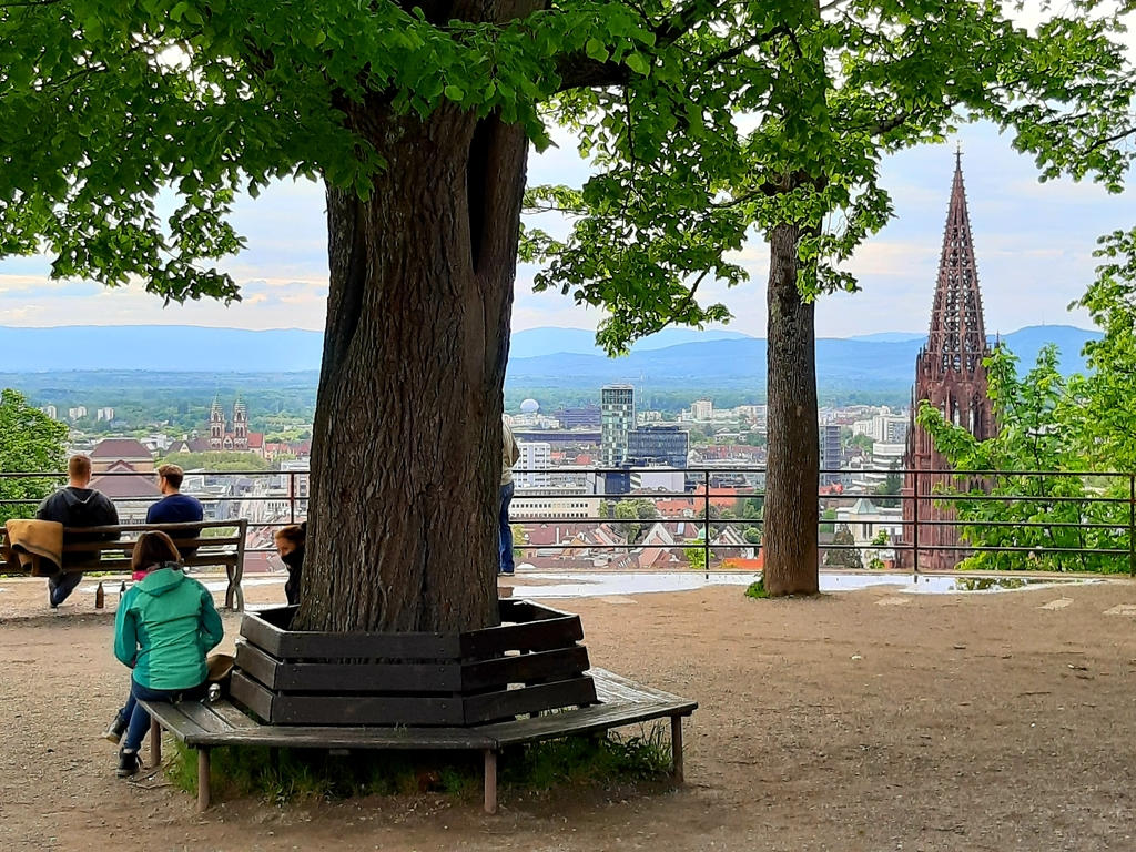 Kanonenplatz mit Blick auf Freiburg