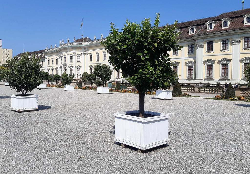 Schlosspark Ludwigsburg