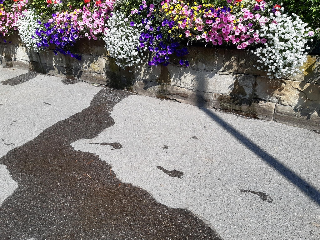 Nasse Barfußspuren auf Asphalt