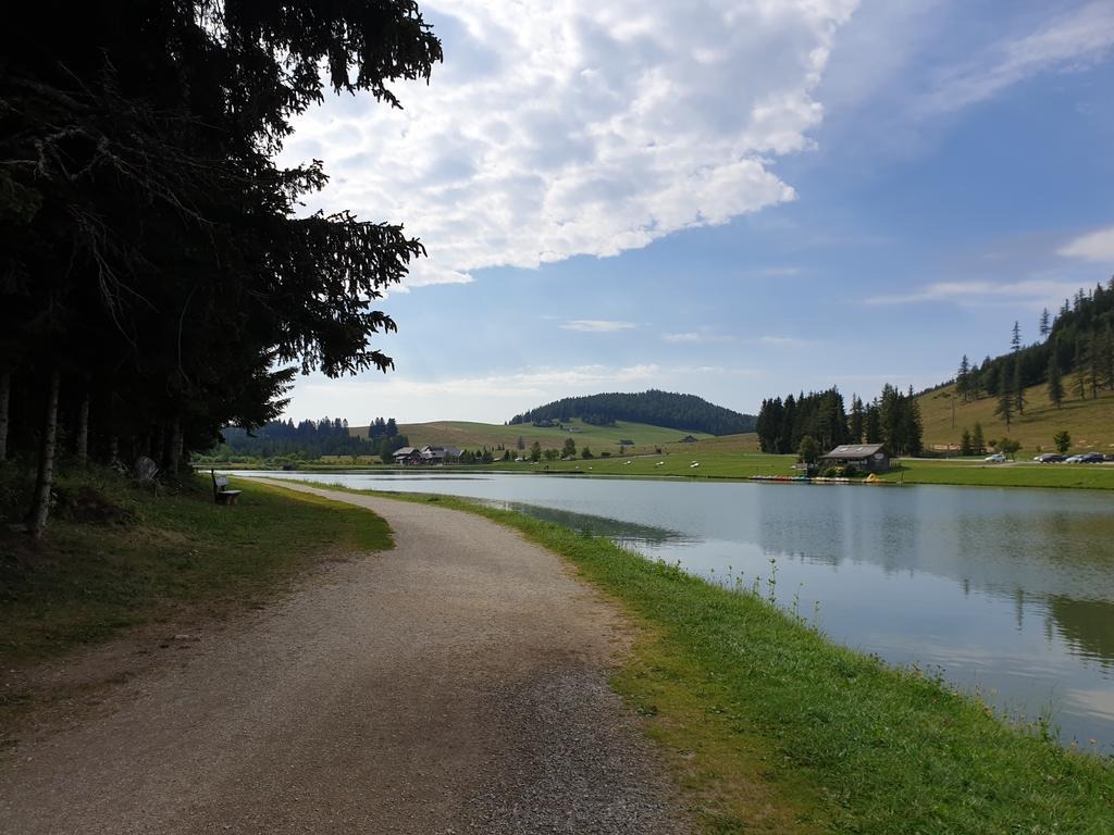 Uferweg am Teichalmsee