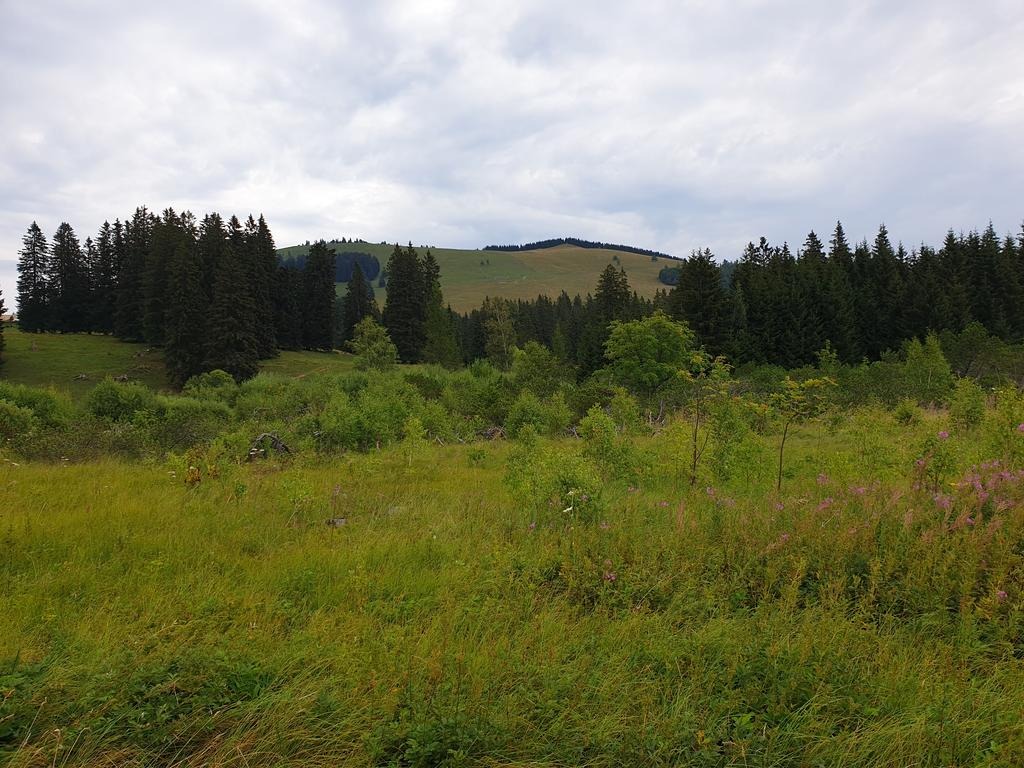 Heulantsch-Gipfel vom Teichalmsee aus gesehen
