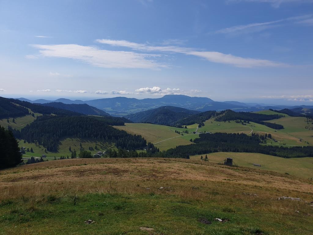 Ausblick vom Heulantsch, im Hintergrund der Schöckl