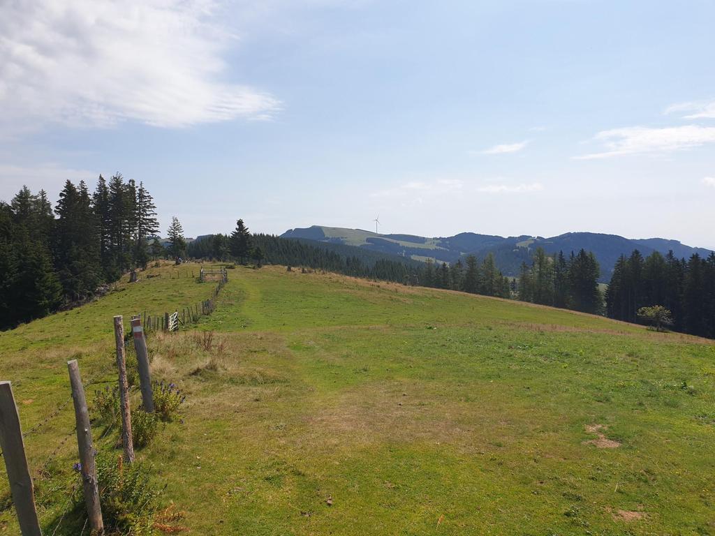 In der Nähe des Grubbauerkogels ist in der Ferne bereits das Windrad am Plankogel zu sehen