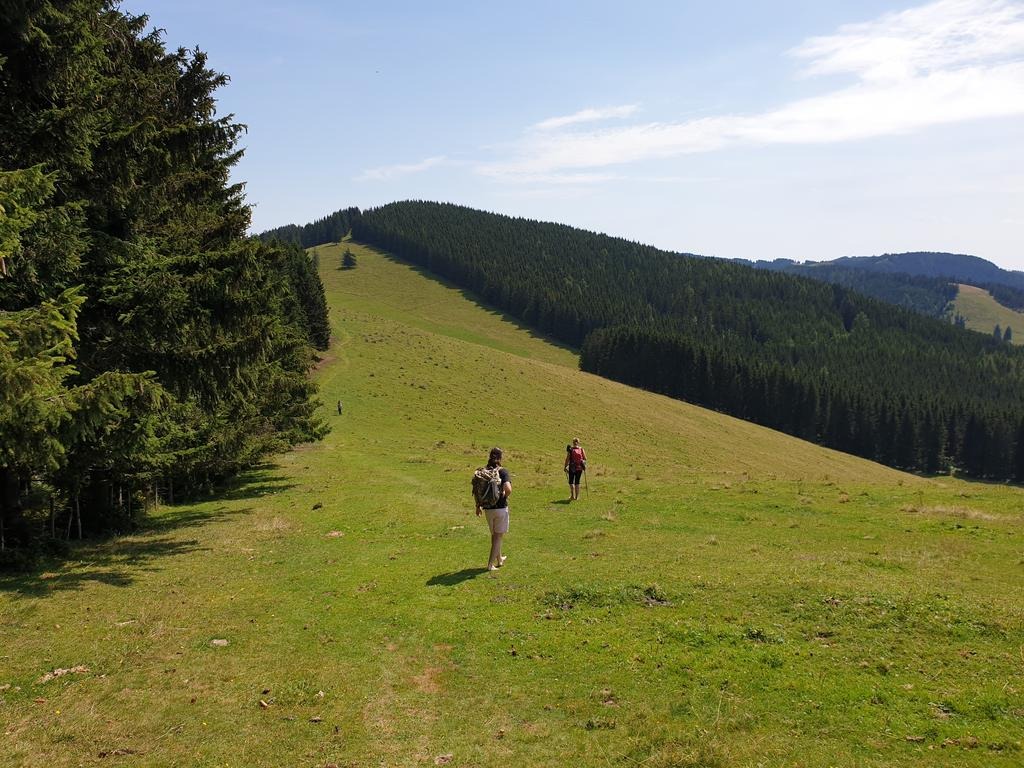 Auf dem weichen Gras der Almen kann der Weg beliebig gewählt werden