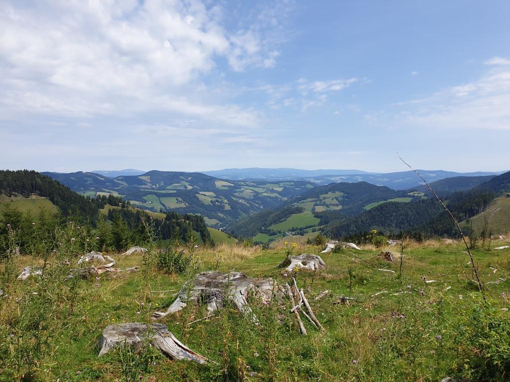 Aussicht nach Norden von der Stoahandhütte