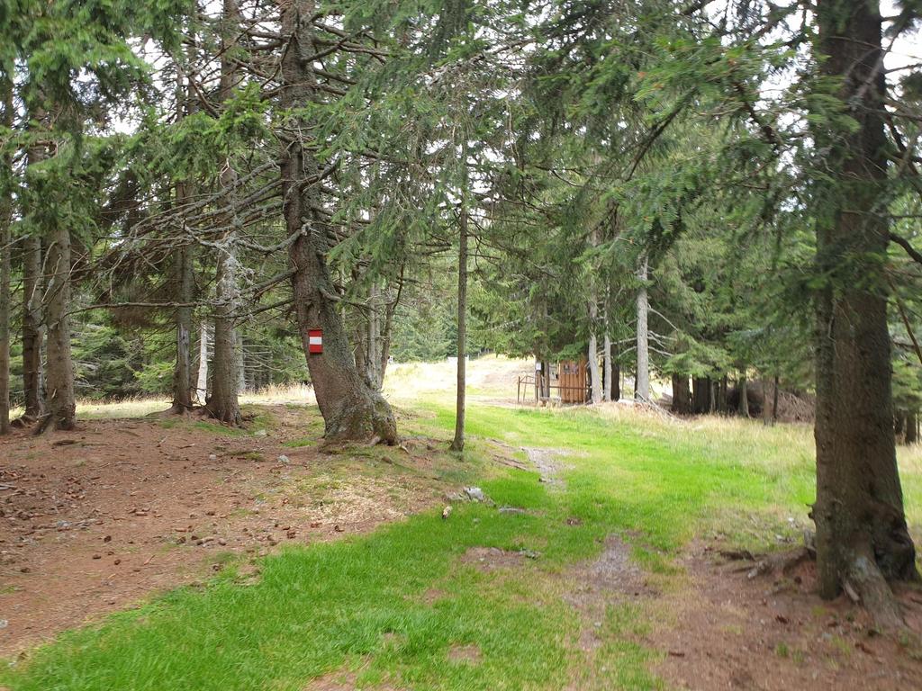 Waldweg, was ist denn da am Weg?