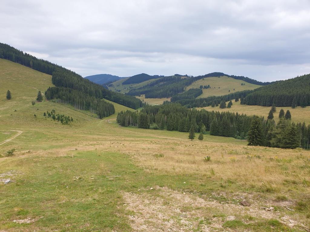 Abzweig Richtung Holzmeister