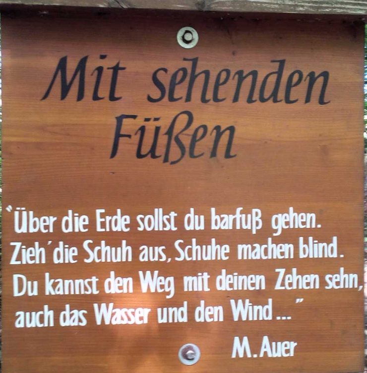 Zitat von Martin Auer