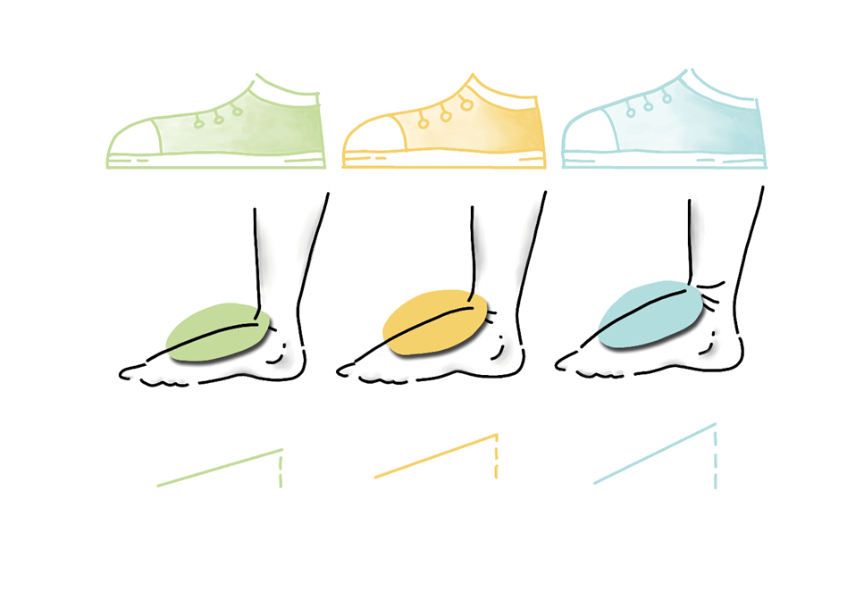 Rist und Spann bei einem Fuß