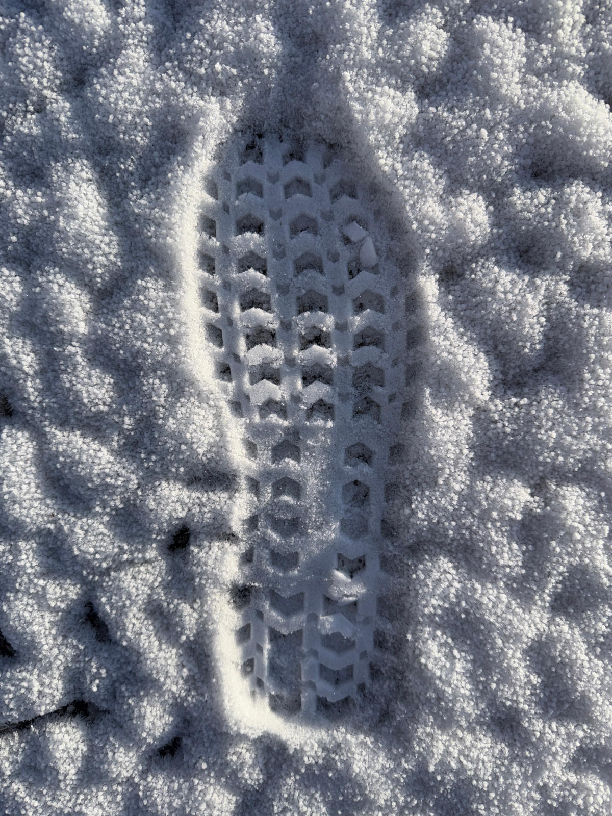 Xero Shoes Scrambler Trail Low WP