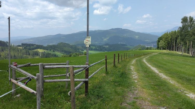 Wegführung über die Weide links vom Zaun