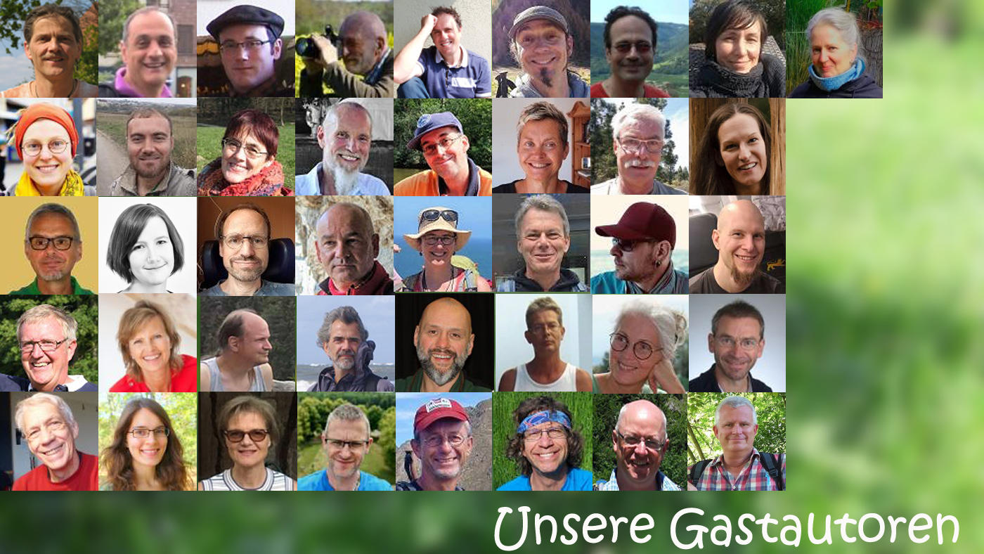 Gastautoren im Barfussblog