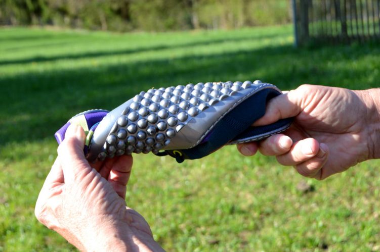 Leguano Spinwyn Sportschuh