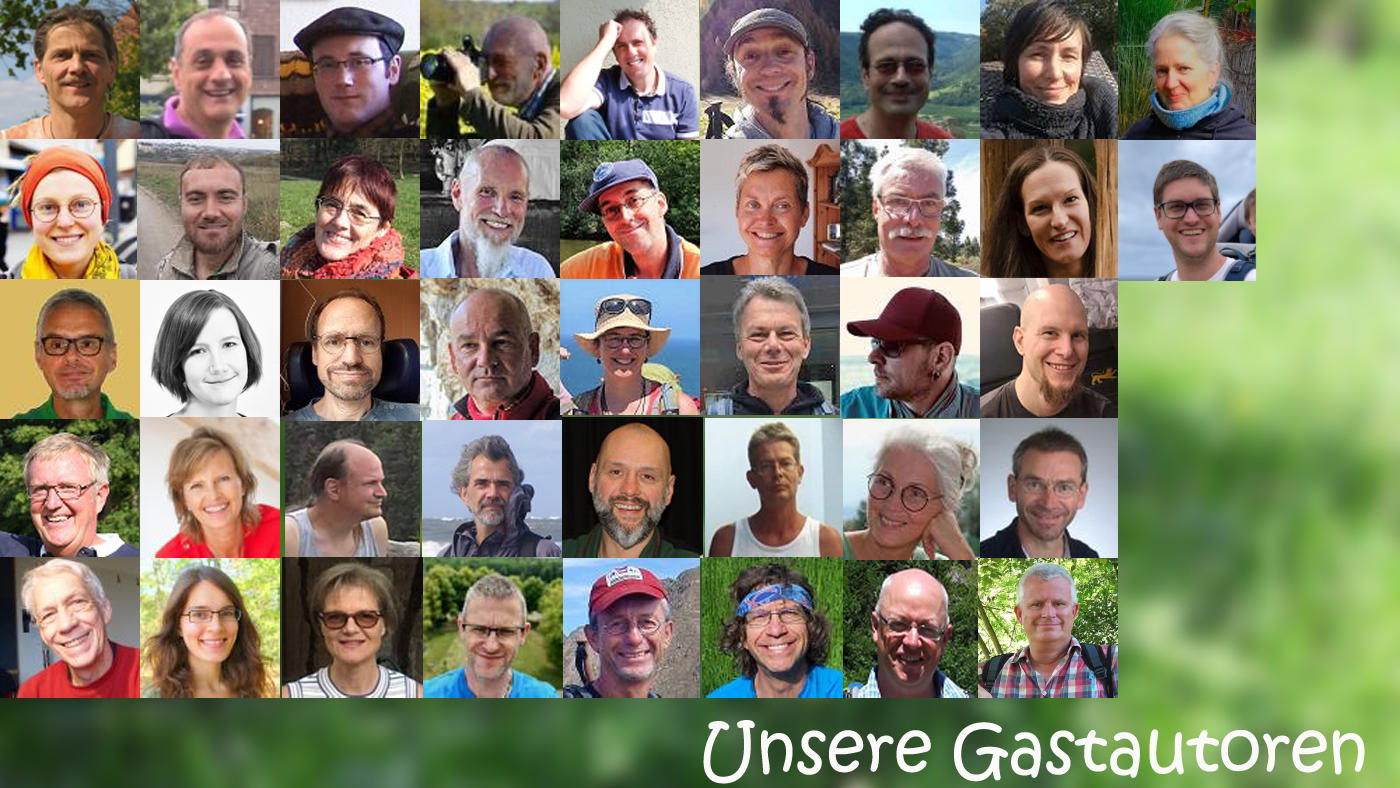 Gastautoren im Barfussblog